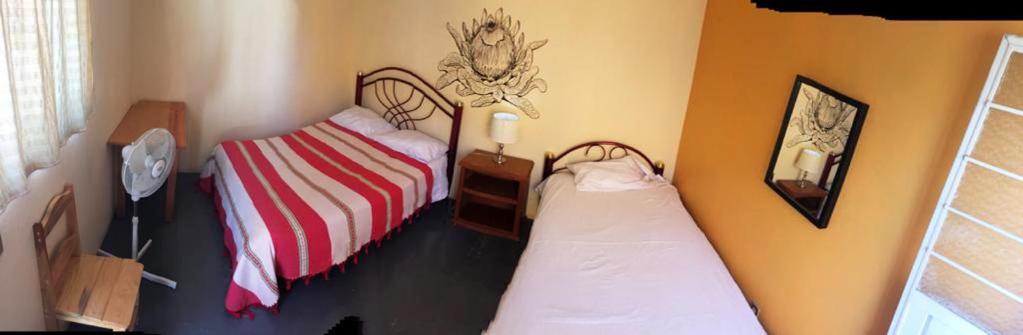 Los Nardos Hostel -Pet Friendly- Oaxaca Exteriér fotografie