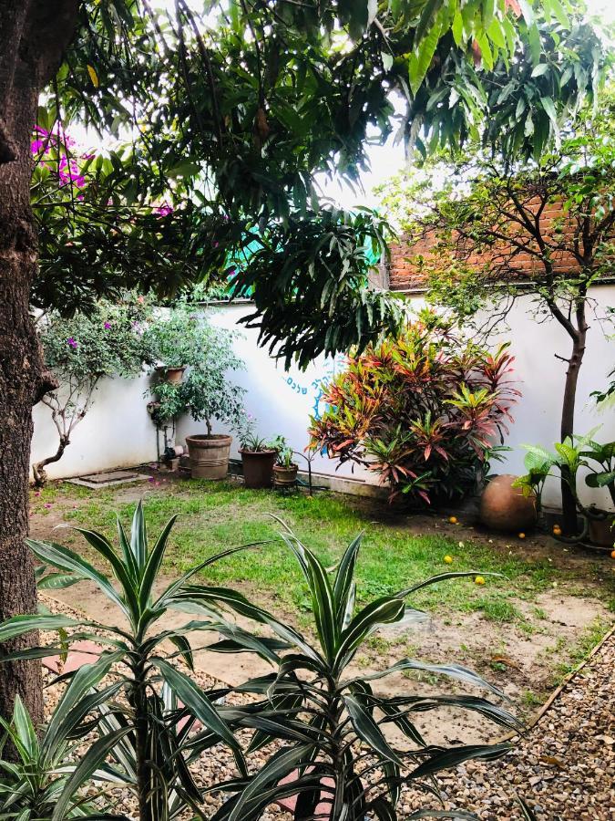 Los Nardos Hostel -Pet Friendly- Oaxaca Exteriér fotografie