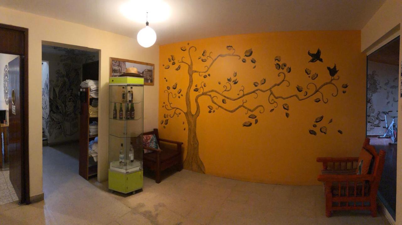 Los Nardos Hostel -Pet Friendly- Oaxaca Exteriér fotografie
