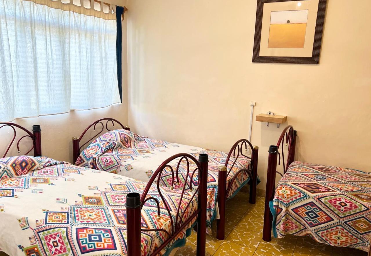 Los Nardos Hostel -Pet Friendly- Oaxaca Exteriér fotografie