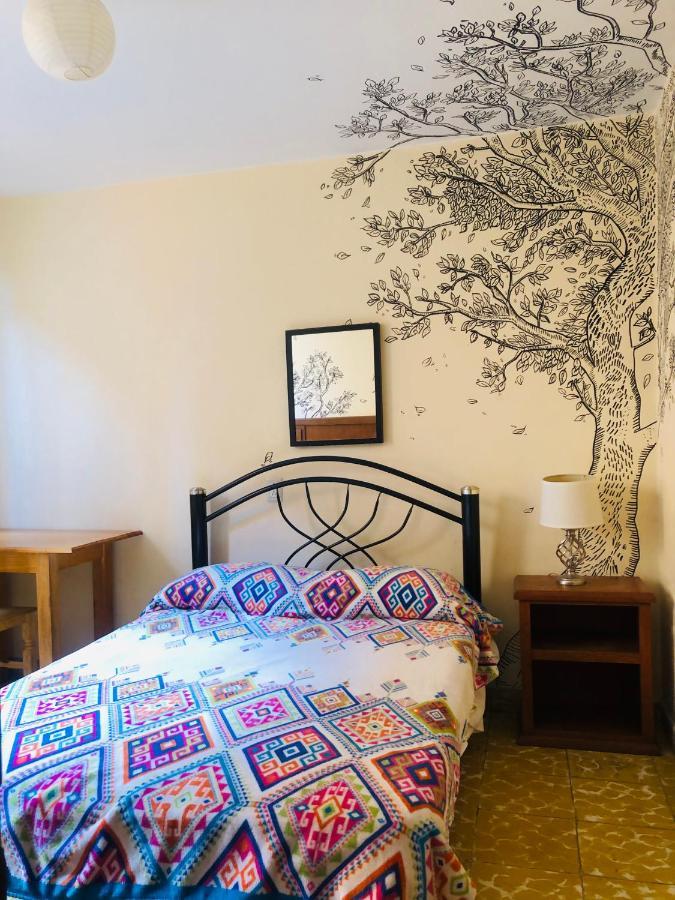 Los Nardos Hostel -Pet Friendly- Oaxaca Exteriér fotografie
