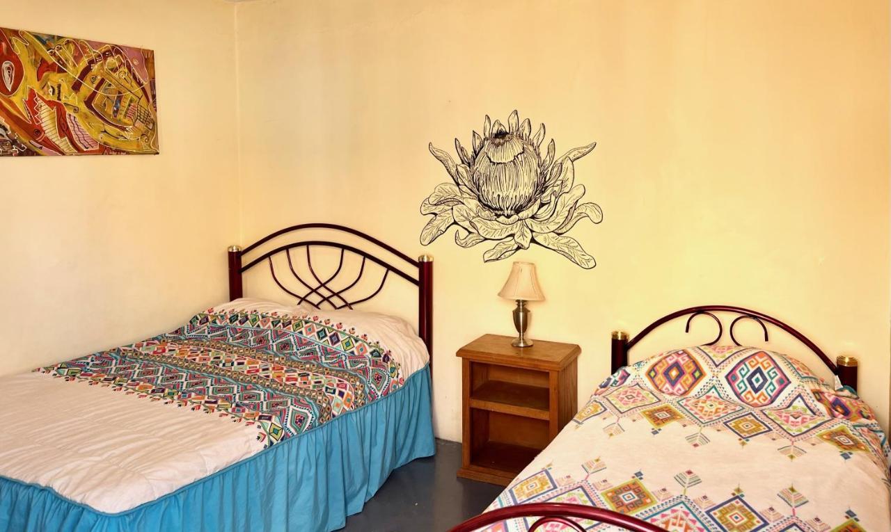 Los Nardos Hostel -Pet Friendly- Oaxaca Exteriér fotografie