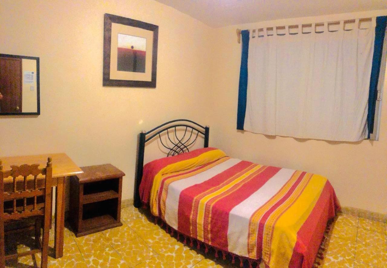 Los Nardos Hostel -Pet Friendly- Oaxaca Exteriér fotografie
