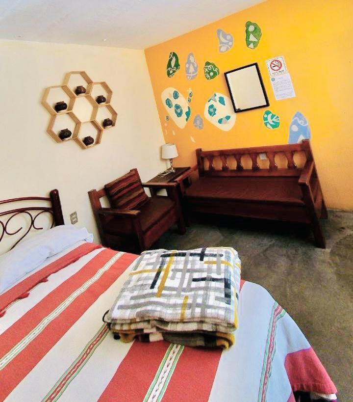Los Nardos Hostel -Pet Friendly- Oaxaca Exteriér fotografie
