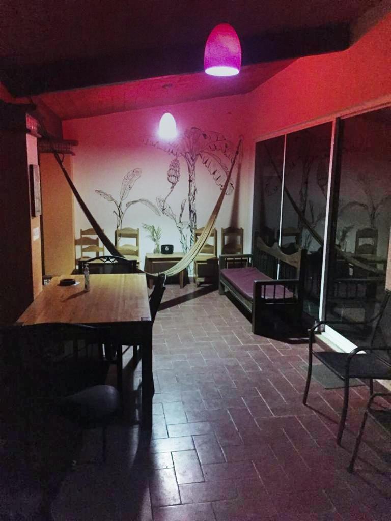 Los Nardos Hostel -Pet Friendly- Oaxaca Exteriér fotografie