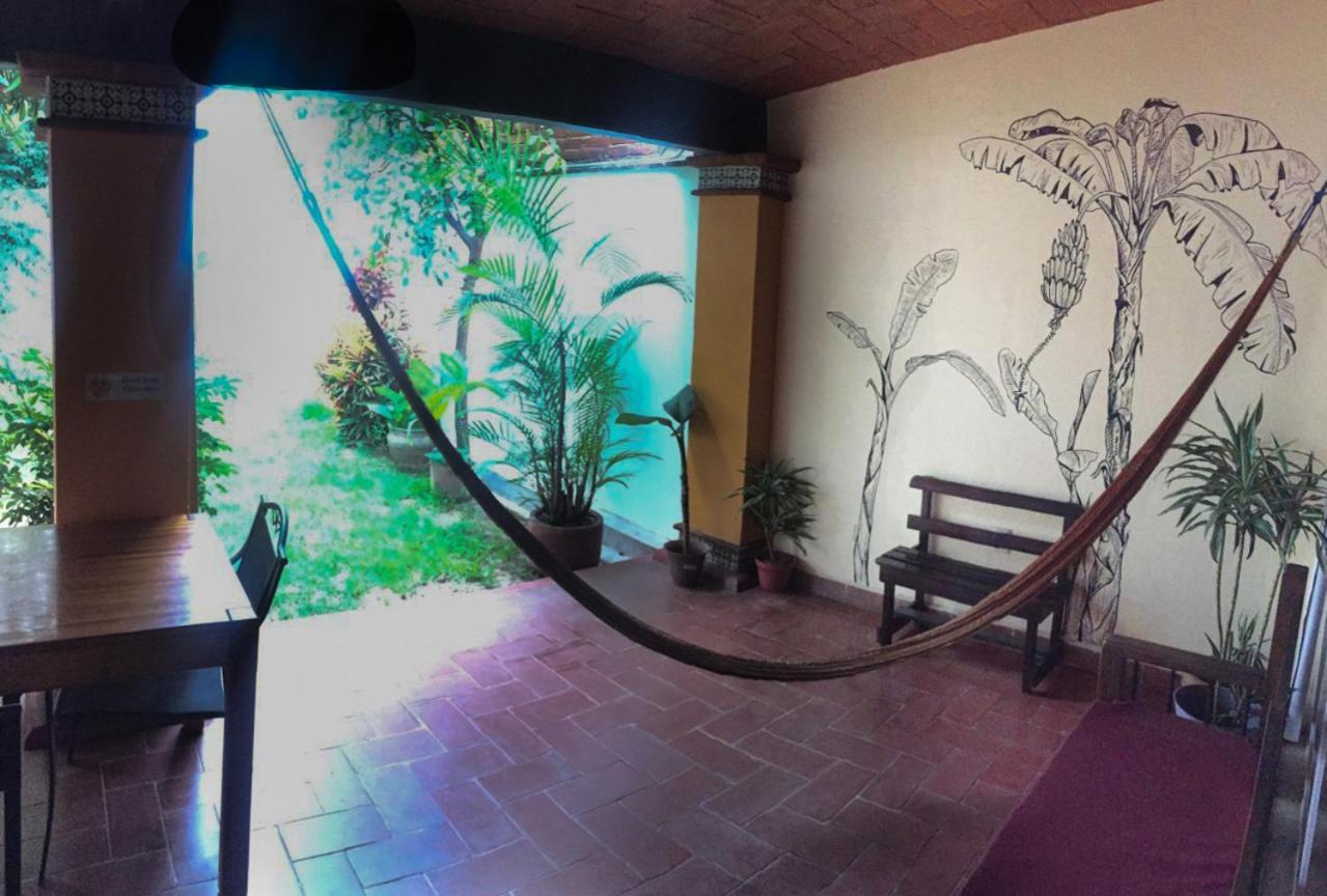 Los Nardos Hostel -Pet Friendly- Oaxaca Exteriér fotografie