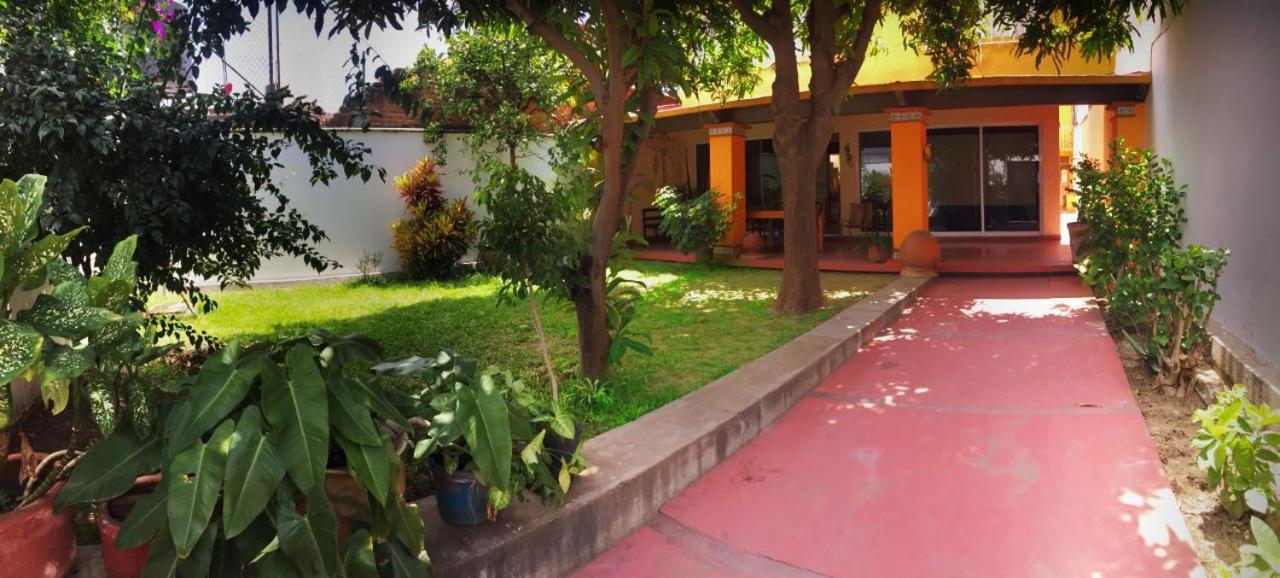 Los Nardos Hostel -Pet Friendly- Oaxaca Exteriér fotografie